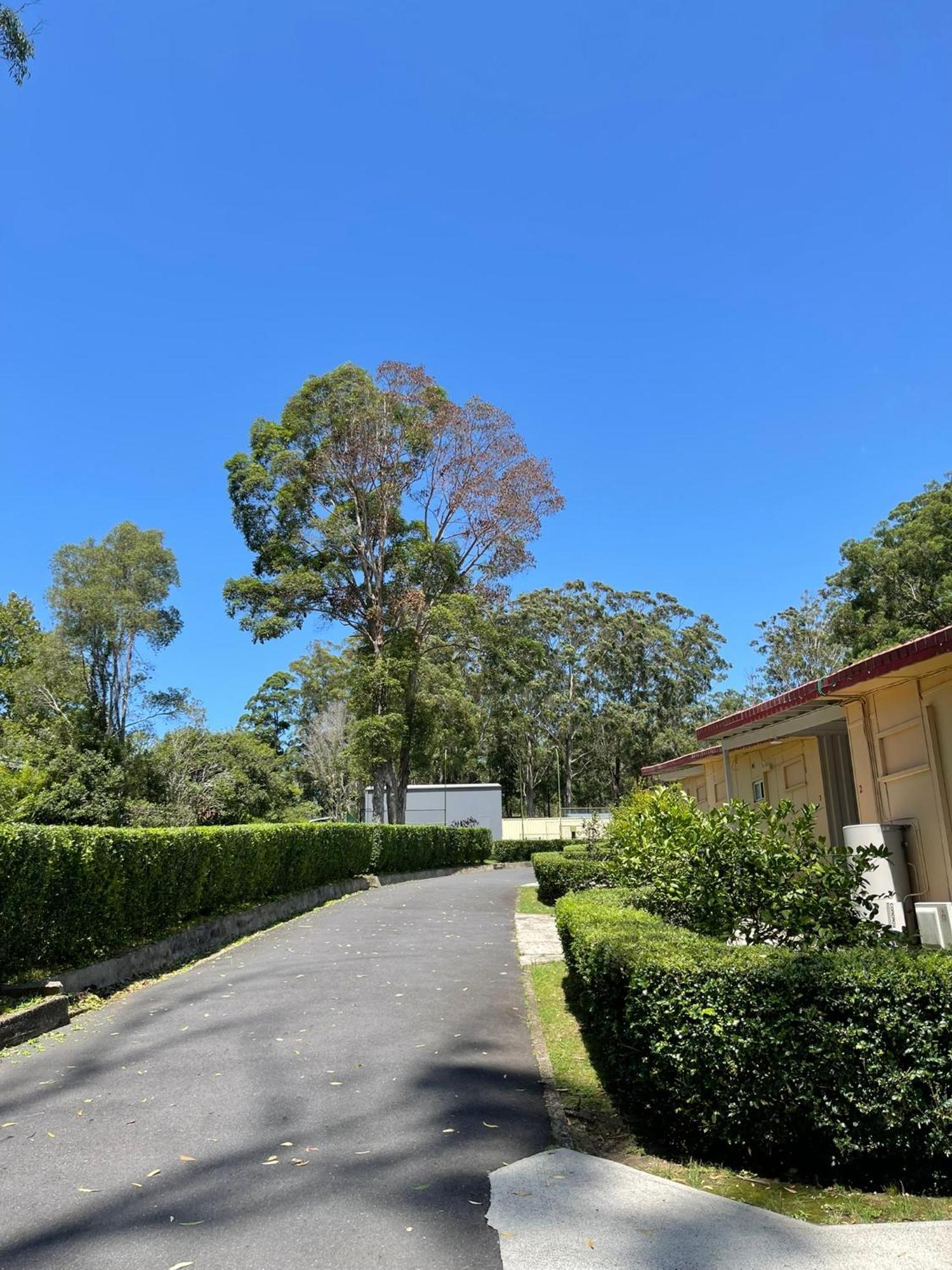 Major Innes Motel Port Macquarie Eksteriør billede