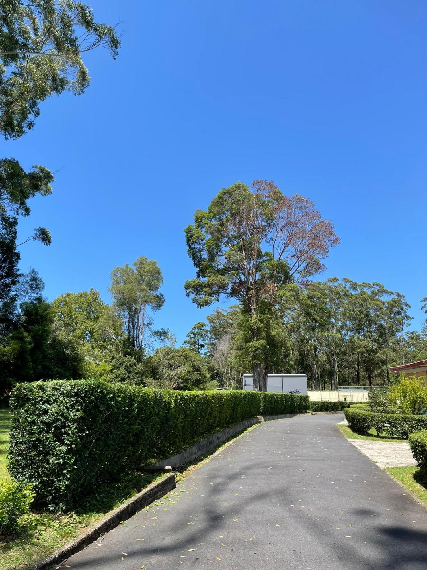 Major Innes Motel Port Macquarie Eksteriør billede