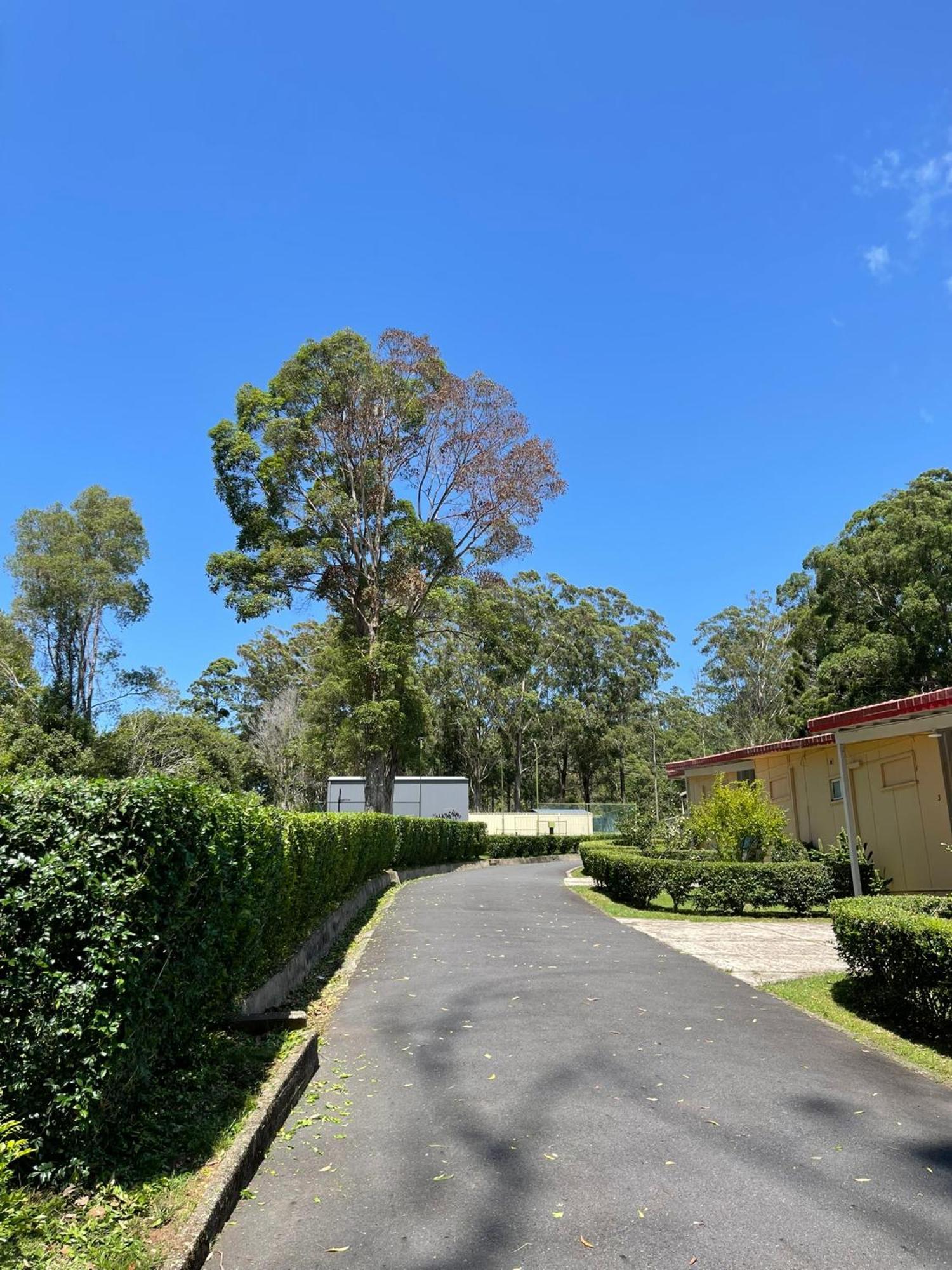 Major Innes Motel Port Macquarie Eksteriør billede