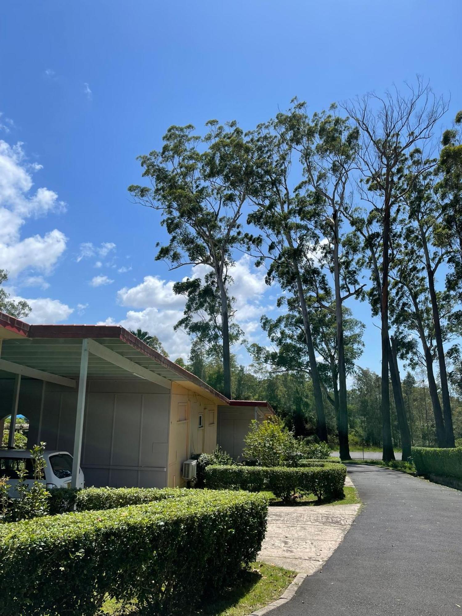 Major Innes Motel Port Macquarie Eksteriør billede